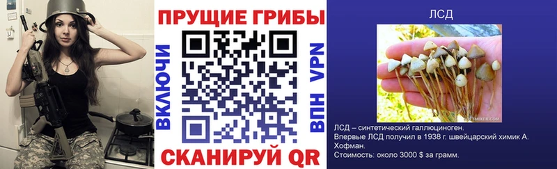 Купить закладки  Серов  Псилоцибиновые грибы MAGIC MUSHROOMS 